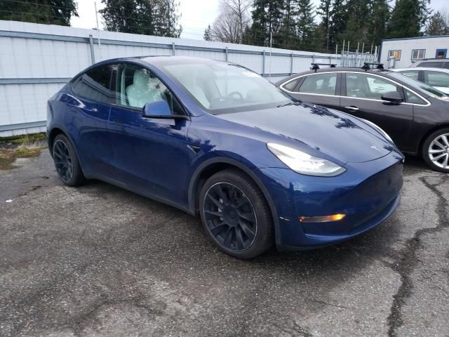 2020 Tesla Model Y