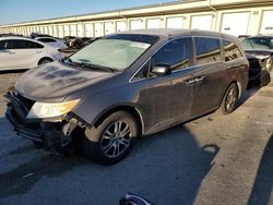 2013 Honda Odyssey EXL en venta en Louisville, KY