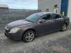 2010 Chevrolet Malibu 1LT