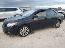 Toyota Corolla salvage cars for sale: 2010 Toyota Corolla Base