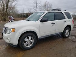 Ford Vehiculos salvage en venta: 2011 Ford Escape XLT