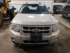 2009 Ford Escape Limited