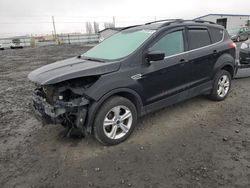 Salvage cars for sale from Copart Airway Heights, WA: 2013 Ford Escape SE