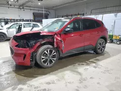 Salvage cars for sale at Candia, NH auction: 2022 Ford Escape SEL