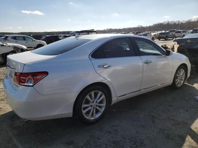 2011 Lexus ES 350