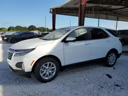 Salvage cars for sale at Homestead, FL auction: 2023 Chevrolet Equinox LT