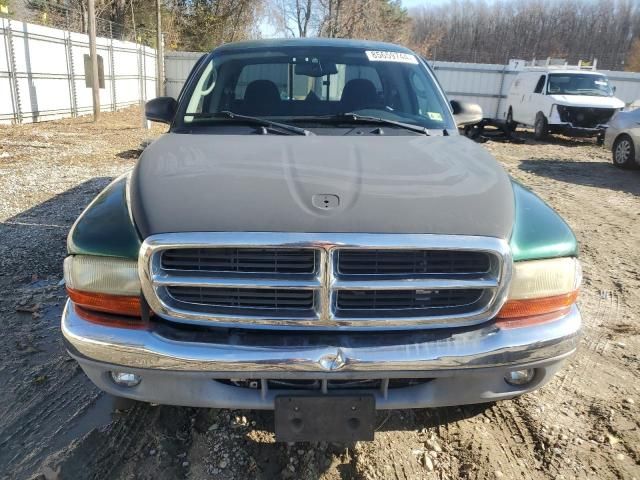 2004 Dodge Dakota SLT