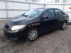 2010 Toyota Corolla Base en venta en Walton, KY