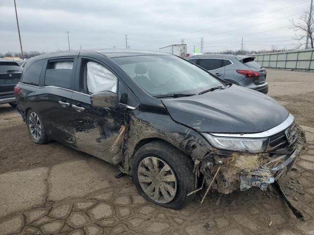 2021 Honda Odyssey EXL