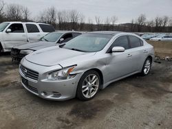 Salvage cars for sale at Marlboro, NY auction: 2010 Nissan Maxima S