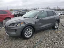 Salvage cars for sale at Louisville, KY auction: 2020 Ford Escape SE