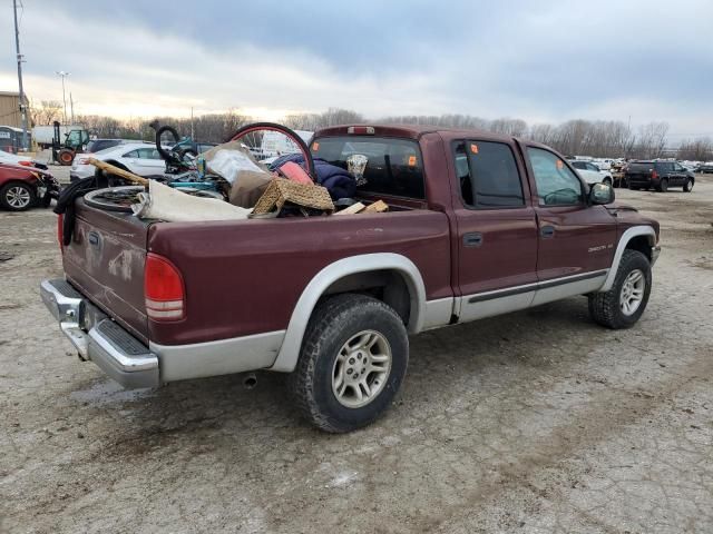 2001 Dodge Dakota Quattro