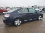 2010 Lexus HS 250H