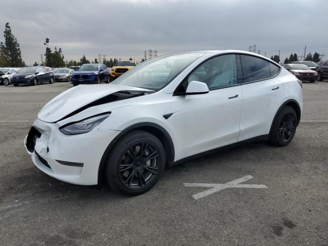 2020 Tesla Model Y