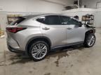 2022 Lexus NX 350H