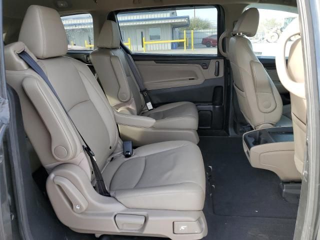 2019 Honda Odyssey EXL