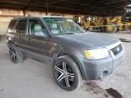 2006 Ford Escape XLT