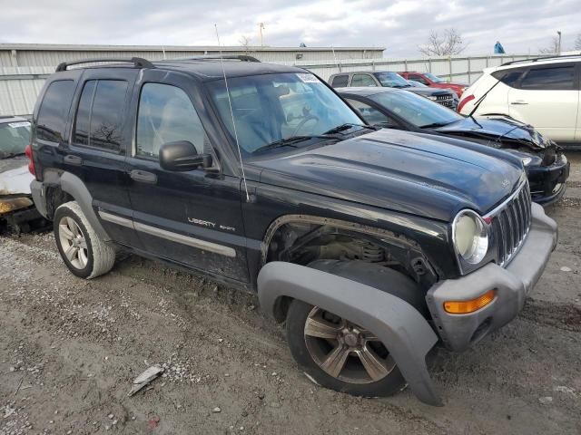 2002 Jeep Liberty Sport