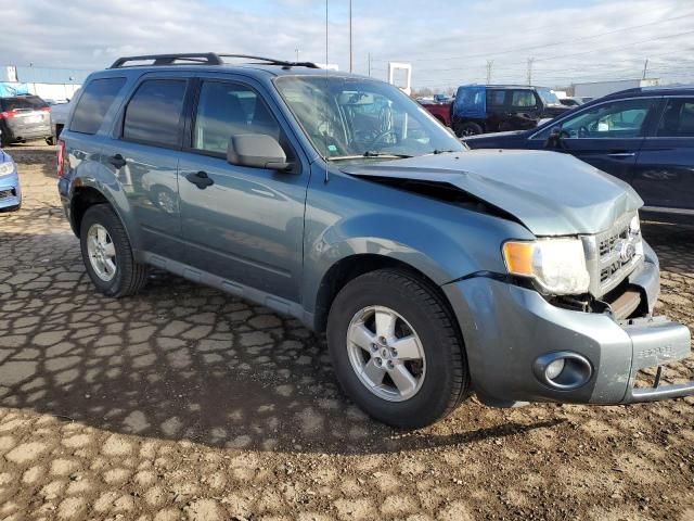 2010 Ford Escape XLT