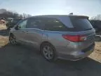 2019 Honda Odyssey EXL