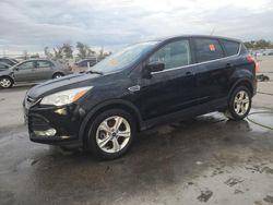 Salvage cars for sale at Orlando, FL auction: 2016 Ford Escape SE