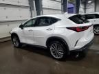 2023 Lexus NX 350