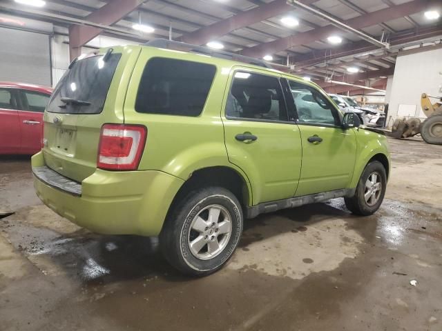 2011 Ford Escape XLT