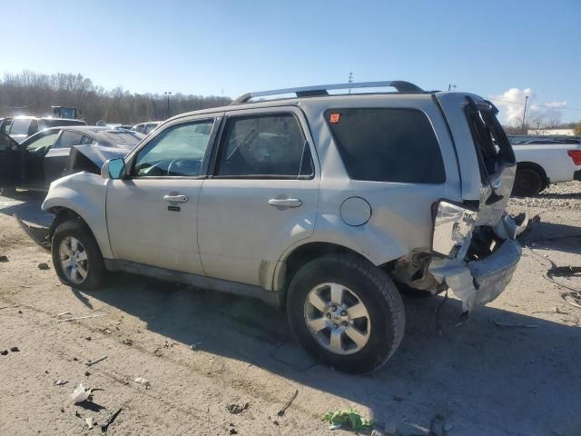 2009 Ford Escape Limited