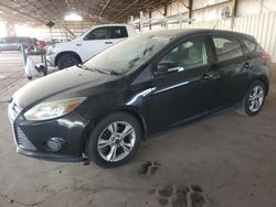 Salvage cars for sale at Phoenix, AZ auction: 2013 Ford Focus SE