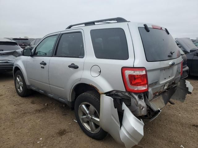 2011 Ford Escape XLT