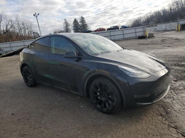 2020 Tesla Model Y