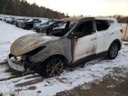 Hyundai Vehiculos salvage en venta: 2015 Hyundai Santa FE Sport