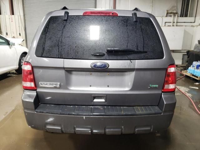 2011 Ford Escape XLT