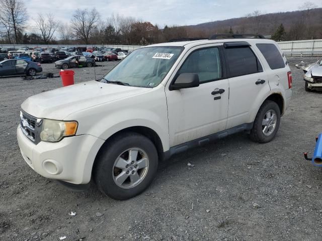 2012 Ford Escape XLT