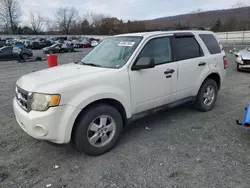 Ford salvage cars for sale: 2012 Ford Escape XLT