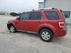 2009 Ford Escape Limited