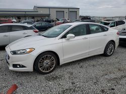 Salvage cars for sale at Earlington, KY auction: 2014 Ford Fusion SE