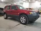 2007 Ford Escape XLT