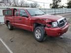 2007 Dodge Dakota SLT