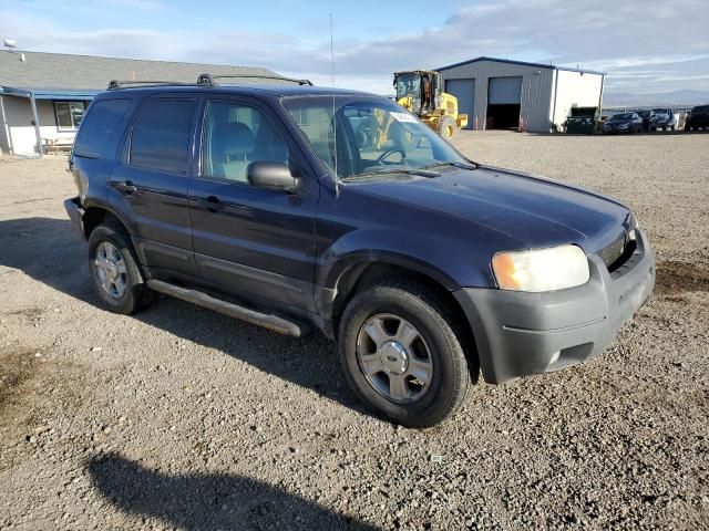 2004 Ford Escape XLT