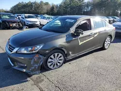 Honda Accord exl salvage cars for sale: 2013 Honda Accord EXL