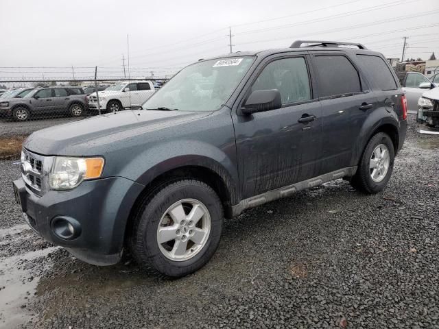 2009 Ford Escape XLT