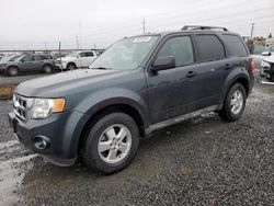 Salvage cars for sale from Copart Eugene, OR: 2009 Ford Escape XLT