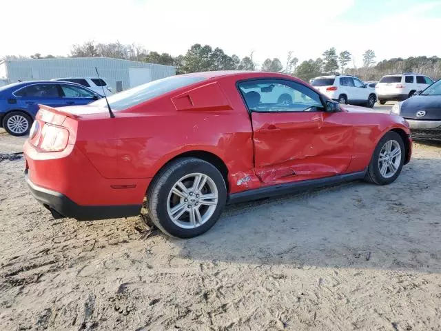 2010 Ford Mustang