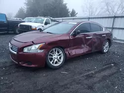 Salvage cars for sale at Finksburg, MD auction: 2013 Nissan Maxima S