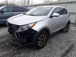 Salvage cars for sale at Walton, KY auction: 2016 KIA Sportage LX