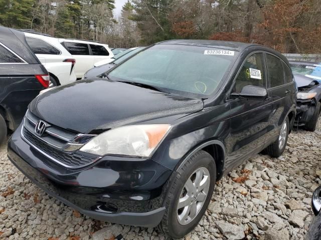 2009 Honda CR-V EXL