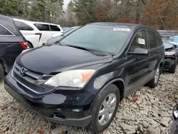 Vehiculos salvage en venta de Copart Mendon, MA: 2009 Honda CR-V EXL