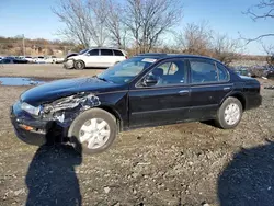 Salvage cars for sale at Baltimore, MD auction: 1999 Nissan Maxima GLE