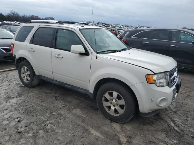 2012 Ford Escape Limited